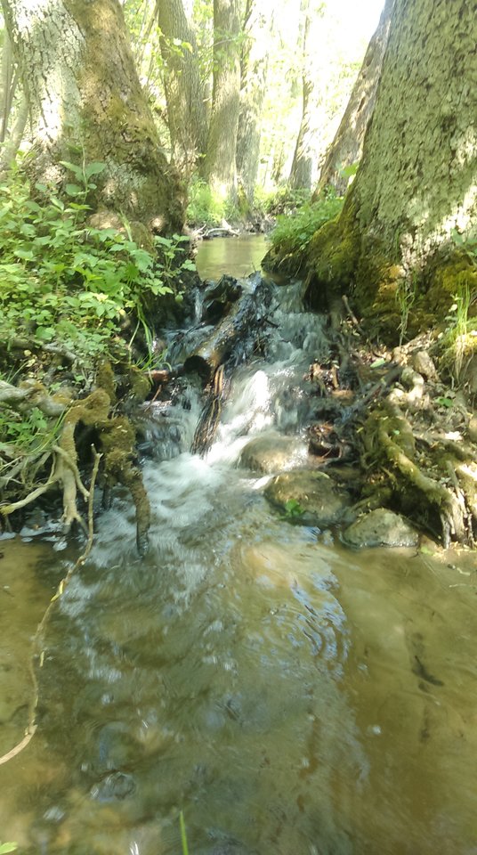 IMAG2168.jpg - Brzydal105
