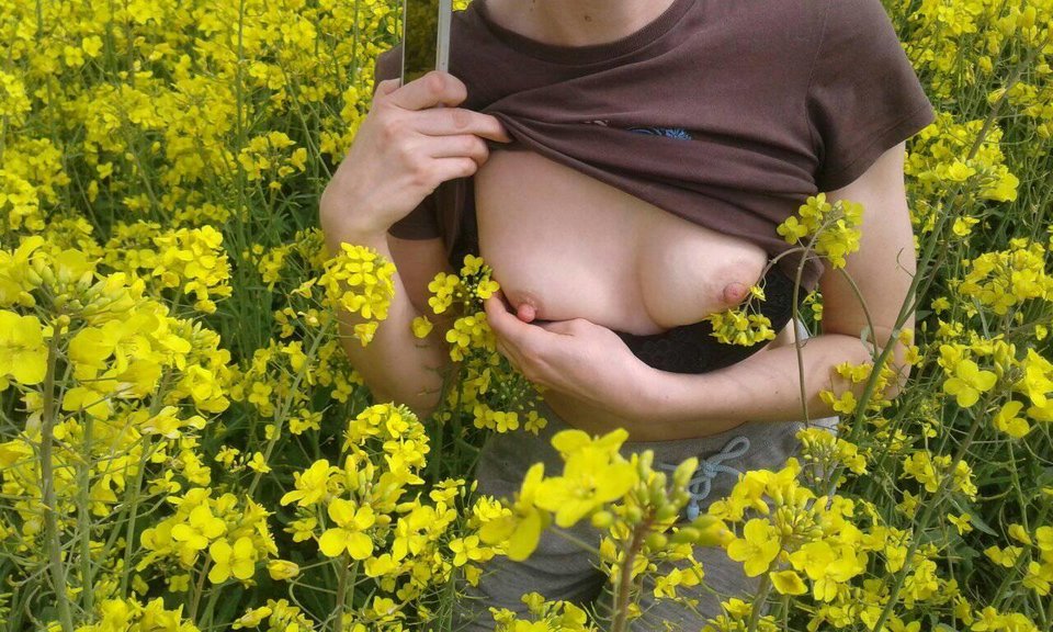 18519289_1439586399436702_1065141917_o.jpg - pparaa69