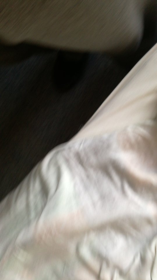 IMG_20170106_130338.jpg - BrandoMerso