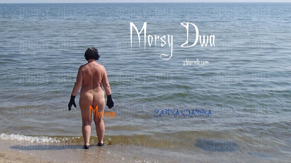 Idę do morza. - Morsy_dwa