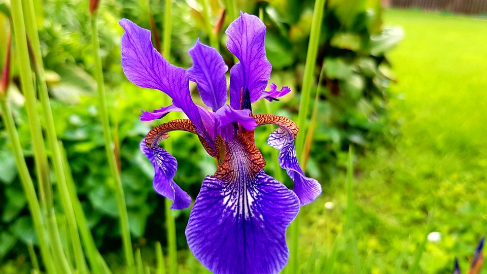 20170522_153607.jpg - destroy