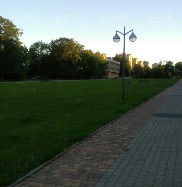 sketch-1496002247103.jpg - wojtas388