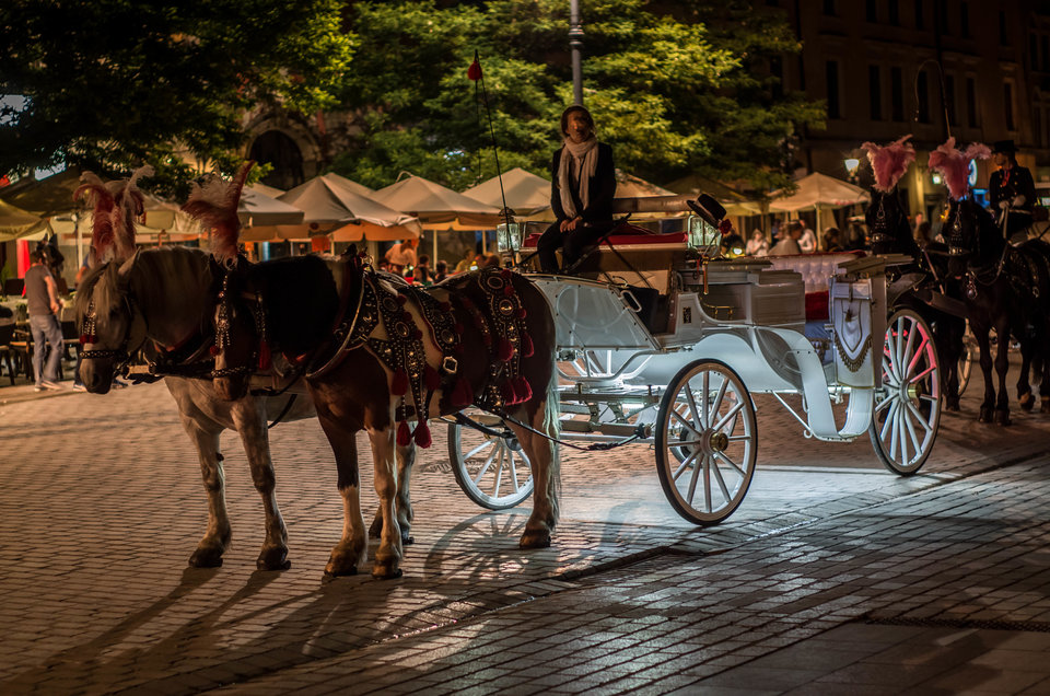 Konie na betonie - mystic