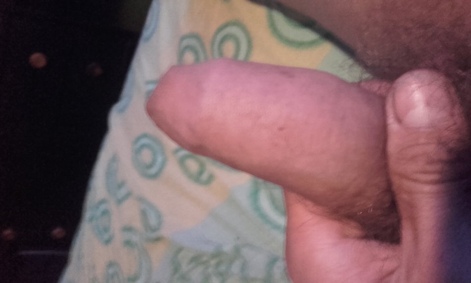 20170602_081717.jpg - krzych1982