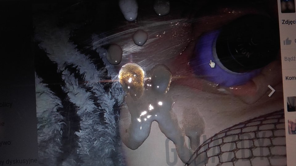 123.,.,.jpeg - gwiazdy_