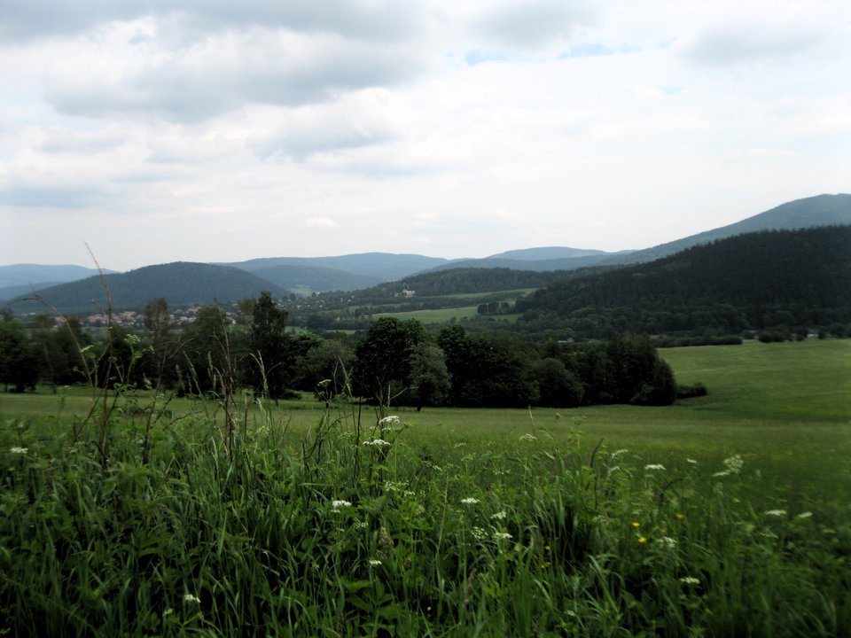 IMG_0181.JPG - pluto64