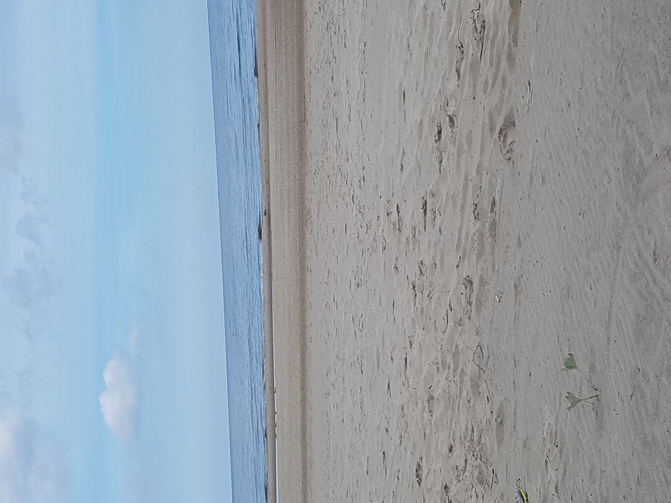 1496653537822275027901.jpg - Toma1303