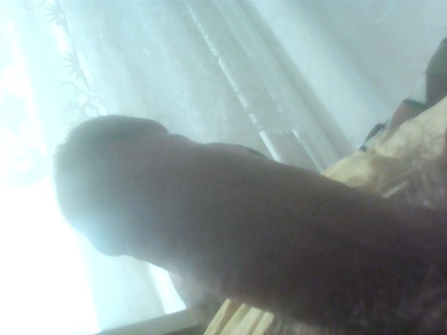 IMG_20170602_092326.jpg - Paczek31