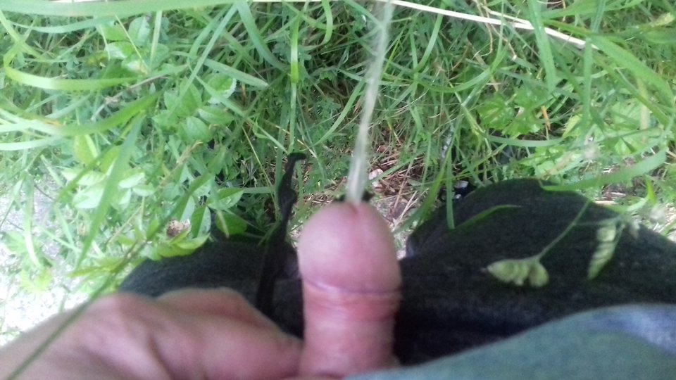 20170608_051450.jpg - robercu