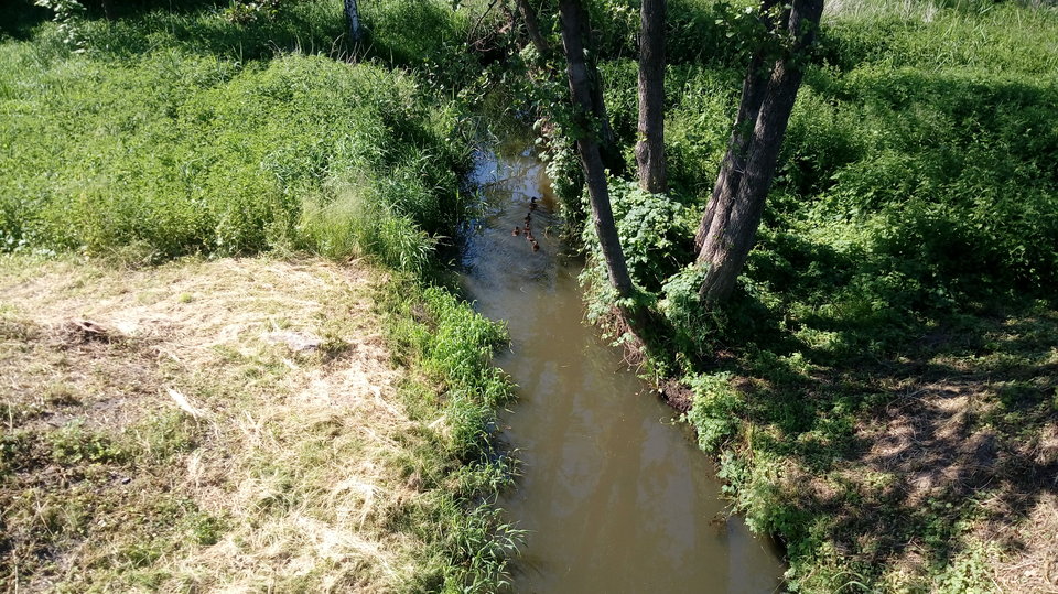 20170608_150809.jpg - YOU86