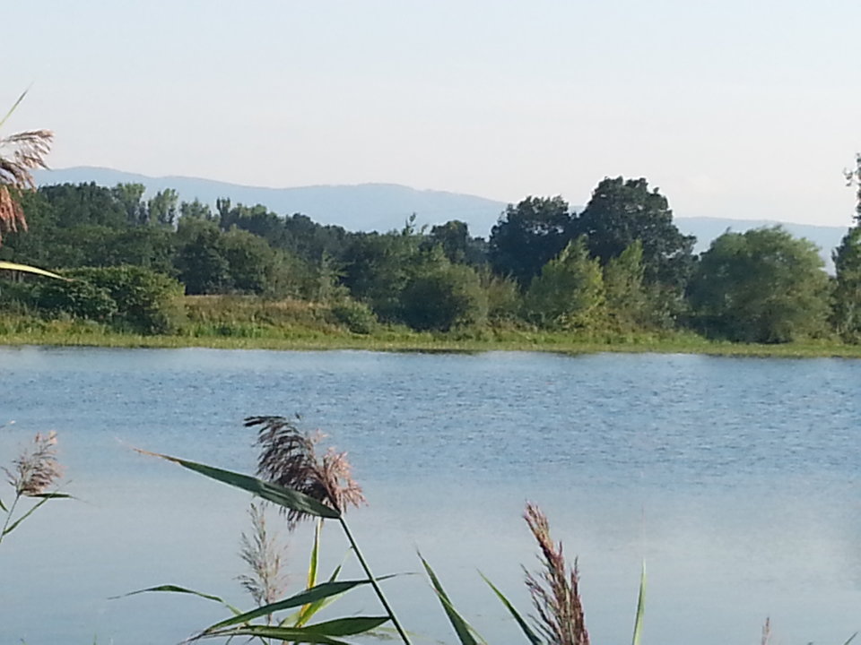 20150821_175943.jpg - mlody1277