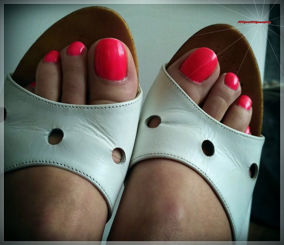 Białe Drewniaczki II #83 - 100pa100peczka