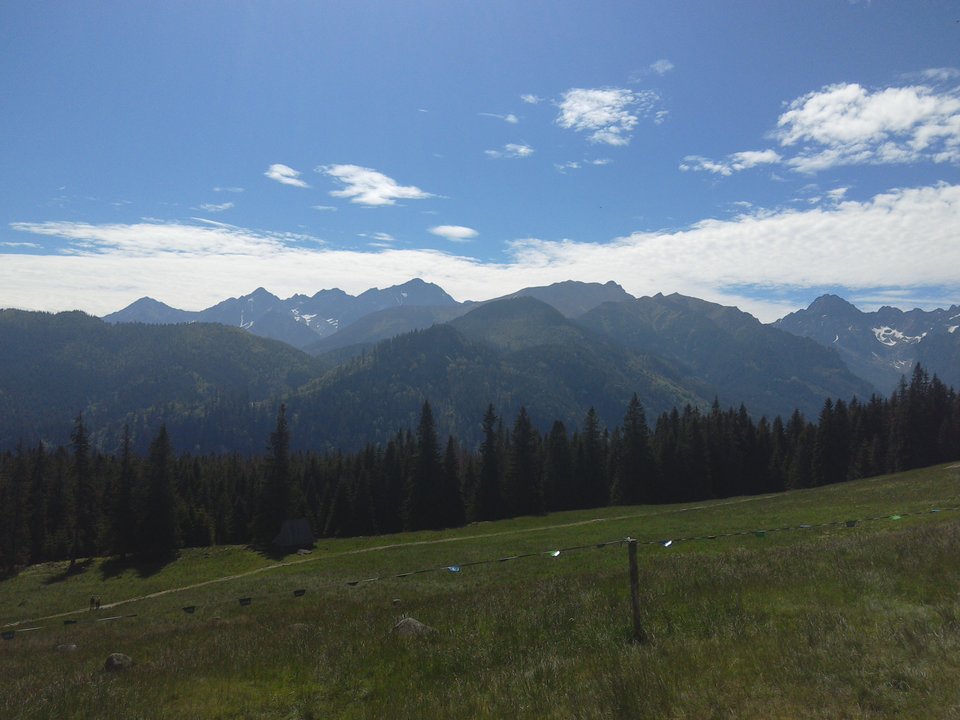 tmp_8989-IMG_20170612_103226662507847.jpg - grzeskce