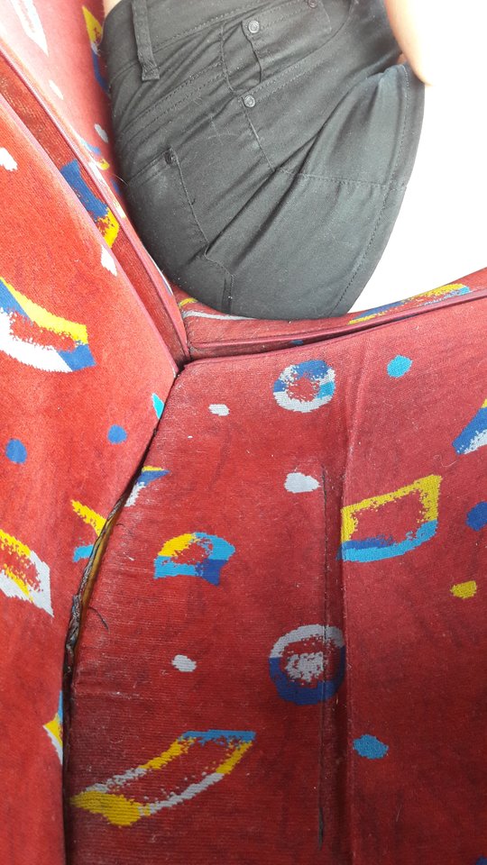 3.jpg - wesolaparkalbl