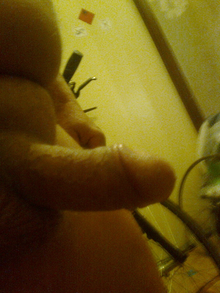 Jaj2569.jpg - miris147