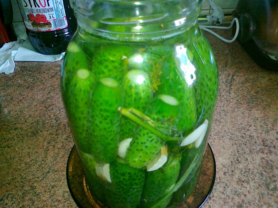 20170615133.jpg - Ponury48bis