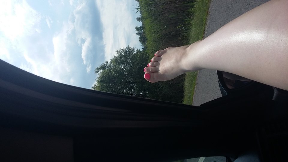 20170616_141622.jpg - misiakippp