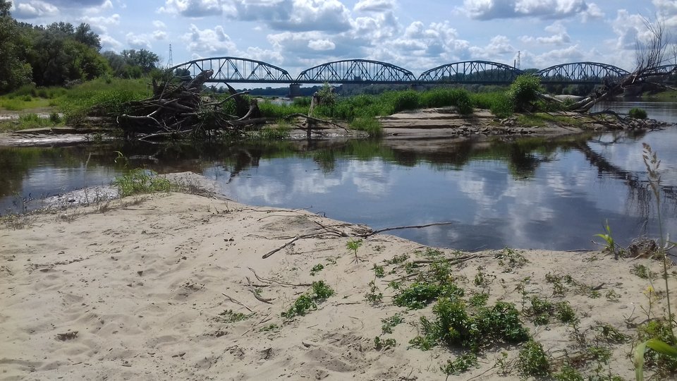 20170615_150057.jpg - skorka75