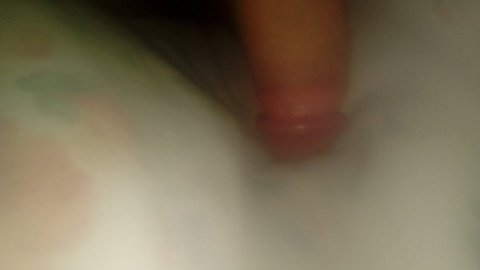 20170618_063615.jpg - Tomci
