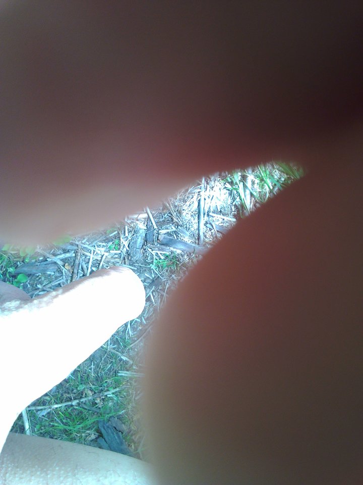 14977836304671275747778.jpg - warszawaonbi