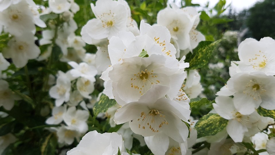 20170617_152303.jpg - destroy