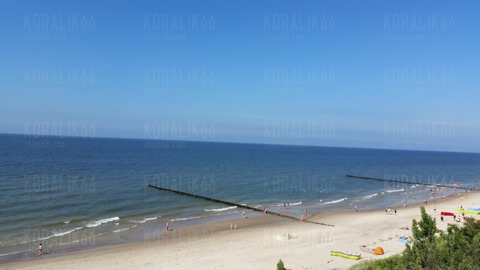 20170618_154159.jpg - Koralik66