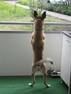 JPEG Image (31176571).jpg