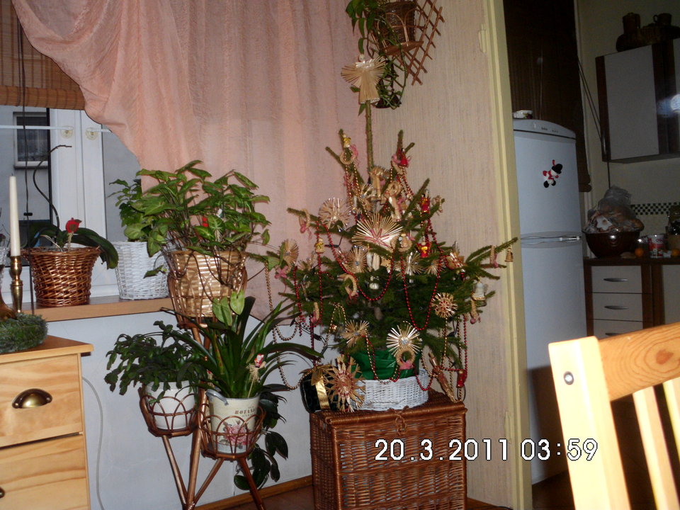 DSCI0051.JPG - krakusek55