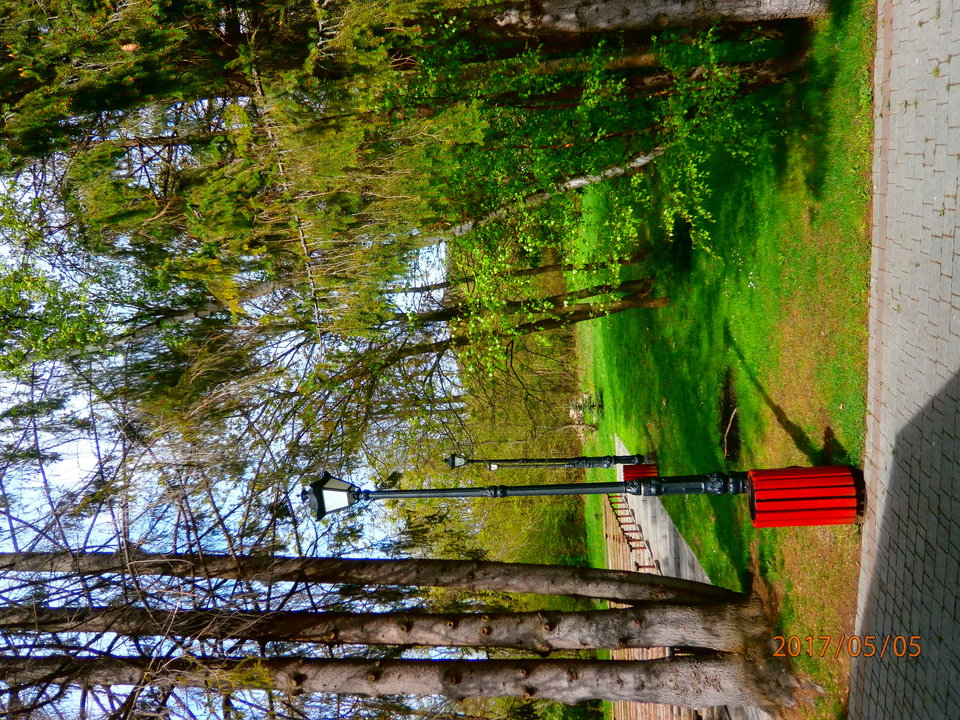 P5050040.JPG - czlowiekmaska