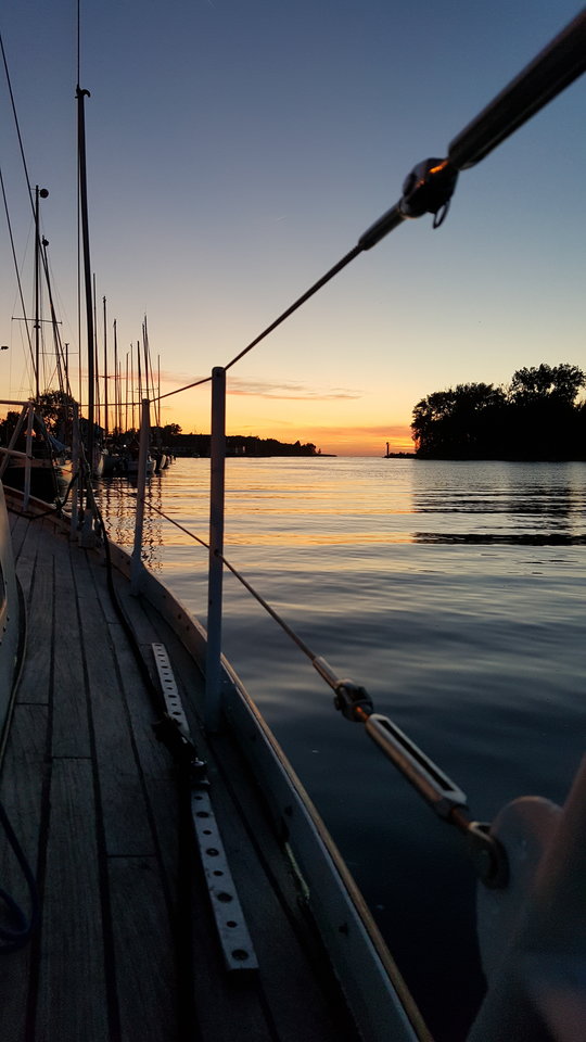 20170617_221119.jpg - mattuk1981