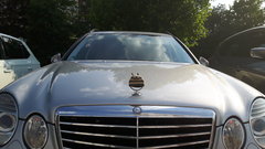 GWIAZDA  pod czapką /