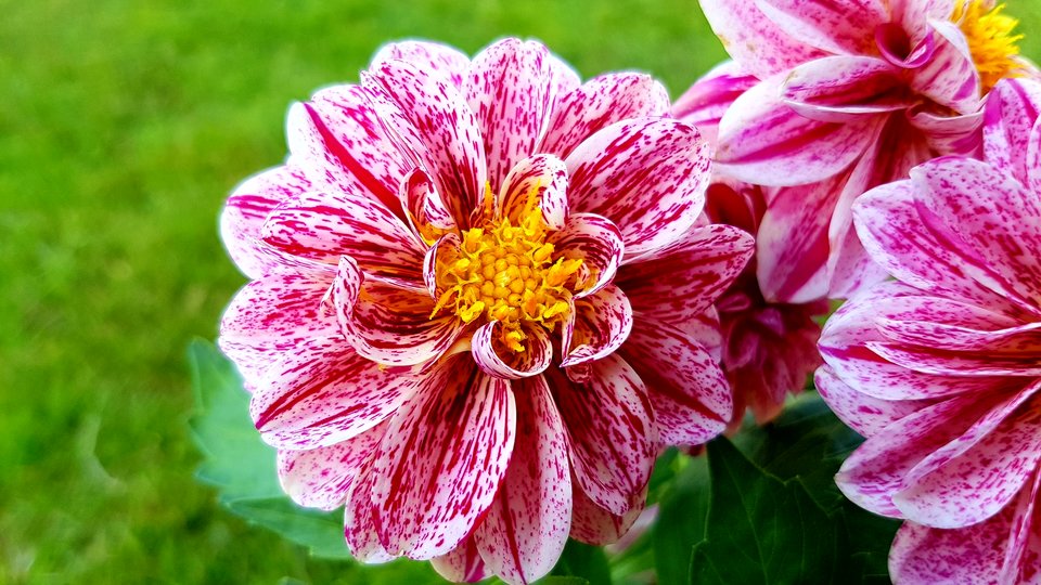 20170622_140951.jpg - destroy