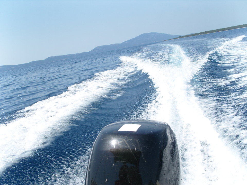 SNV12020.JPG - parapuch