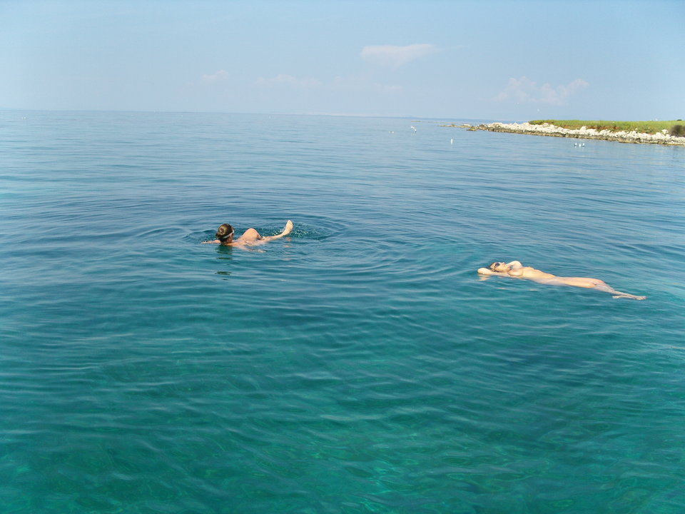 SNV12084.JPG - parapuch