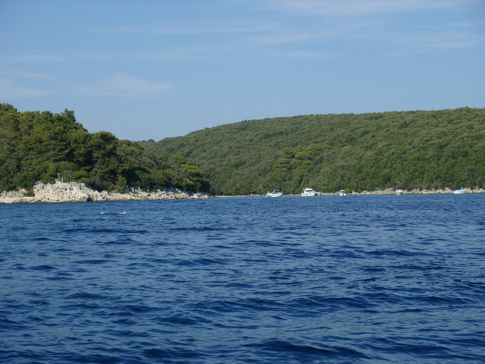 SNV12133.JPG - parapuch