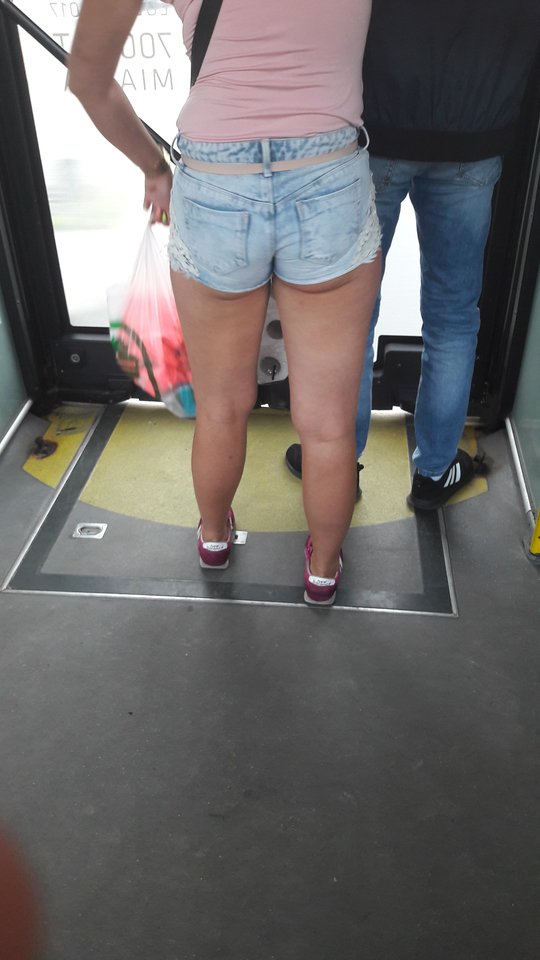 mpk.jpg - wesolaparkalbl