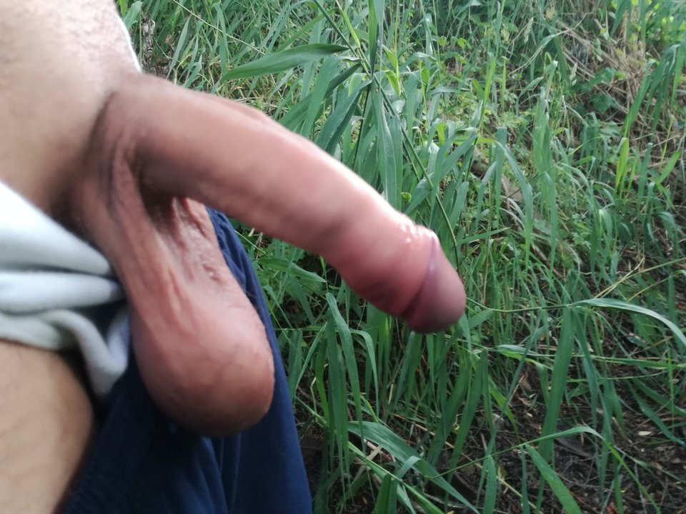 IMG_20170623_193646.jpg - matiwrobis