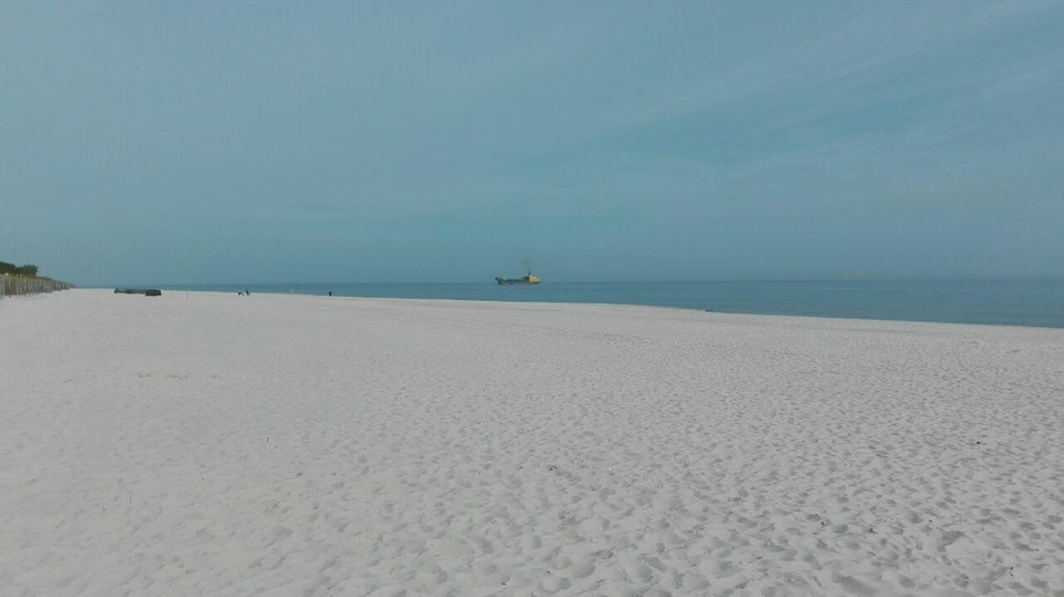 IMG_20160522_090648_optimized.jpg - Finart