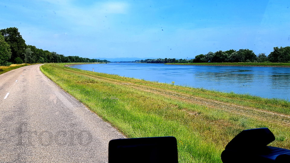 Nad pięknym modrym... Renem ;-) - frocio