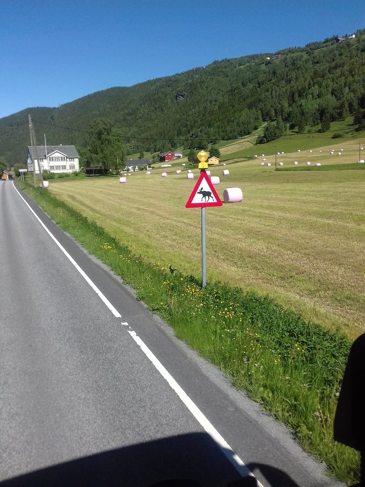 20170624_103630.jpg - KierowcaTira84