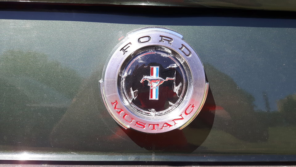 mustang - QRKIN