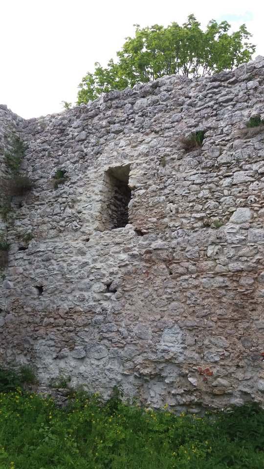 20150115_040001.jpg - krakusek55