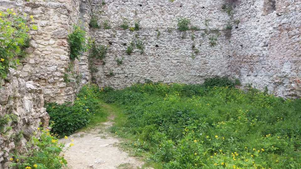 20150115_040026.jpg - krakusek55