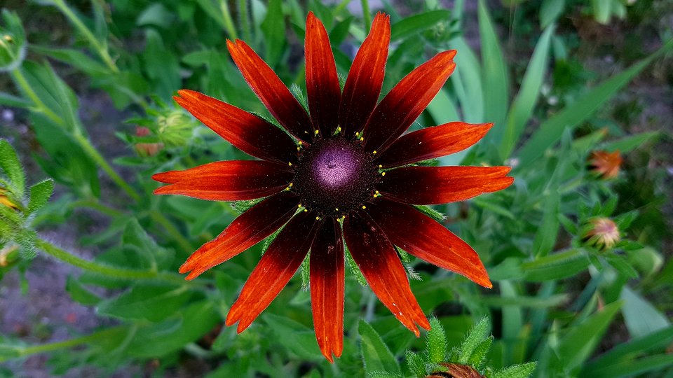 20170626_190853.jpg - destroy