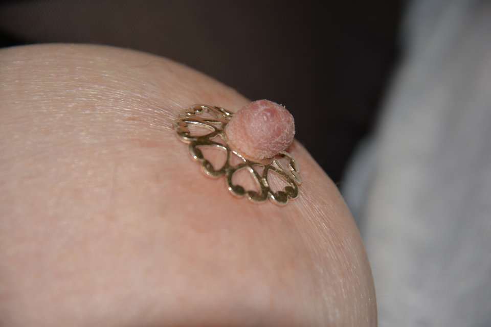 DSC_0221.JPG - para_061