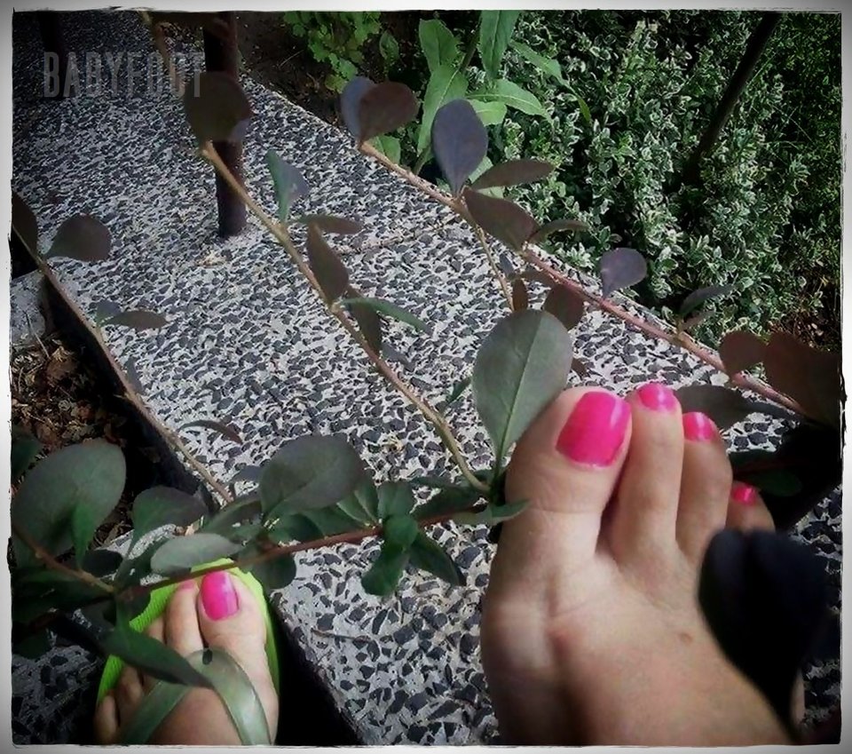 różowe cukiereczki - Babyfoot