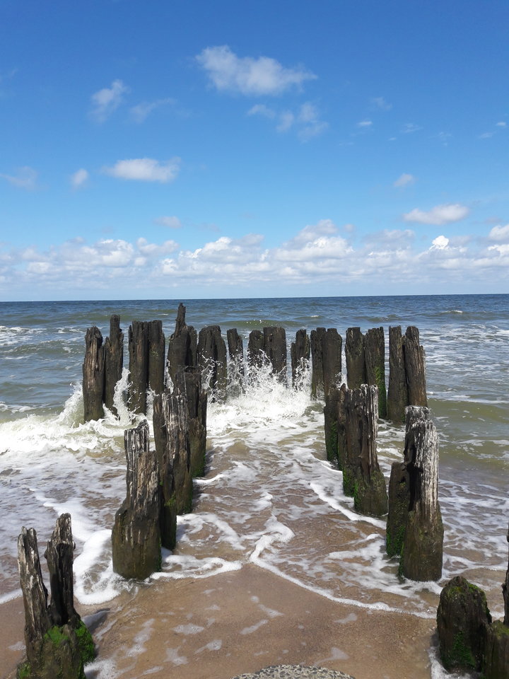 20170705_124238.jpg - Buster_wawa