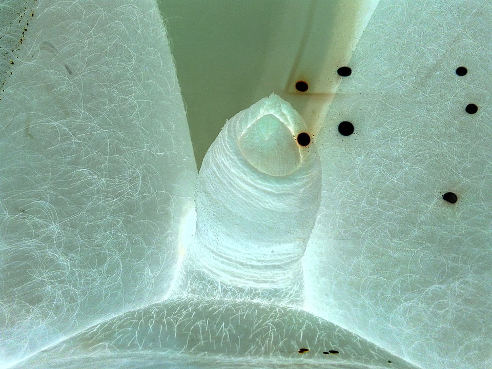 IMG_20170708_061122.jpg - matuzalem000