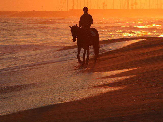 horseback-03.jpg - JohnsJohn45