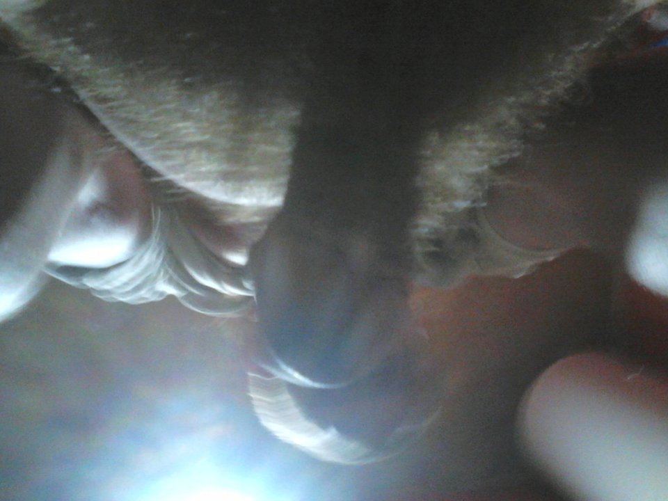 DSC_0041.jpg - Rober28811